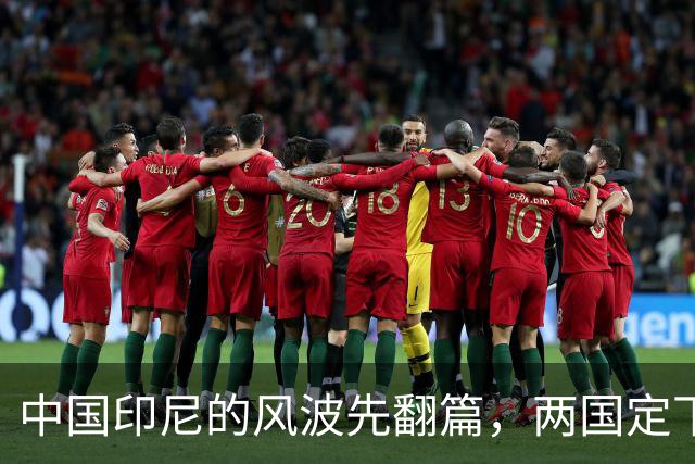 中国印尼的风波先翻篇，两国定下5年之约，杀鸡取卵的蠢事别干了